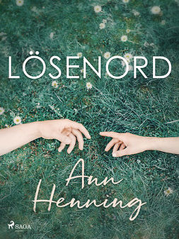 Henning, Ann - Lösenord, ebook