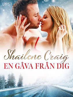 Craig, Shailene - En gåva från dig - erotisk julnovell, ebook