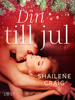 Craig, Shailene - Din till jul - erotisk julnovell, ebook