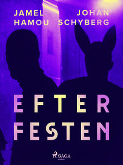 Schyberg, Johan - Efter festen, ebook
