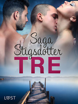 Stigsdotter, Saga - Tre - erotisk novell, ebook