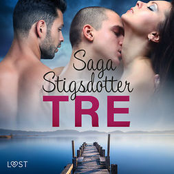 Stigsdotter, Saga - Tre - erotisk novell, audiobook