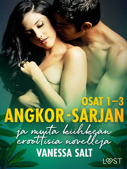 Salt, Vanessa - Angkor-sarjan osat 1-3 ja muita kiihkeän eroottisia novelleja, e-kirja
