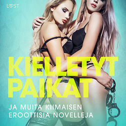 Salt, Vanessa - Kielletyt paikat ja muita kiimaisen eroottisia novelleja, äänikirja