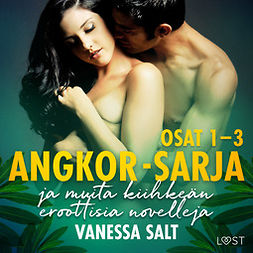 Salt, Vanessa - Angkor-sarjan osat 1-3 ja muita kiihkeän eroottisia novelleja, äänikirja