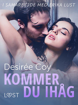 Coy, Desirée - Kommer du ihåg - erotisk novell, ebook