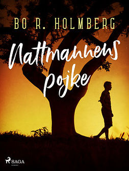 Holmberg, Bo R. - Nattmannens pojke, ebook