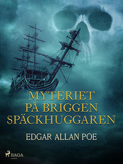 Poe, Edgar Allan - Myteriet på briggen Späckhuggaren, ebook