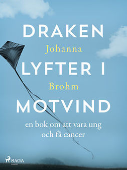 Brohm, Johanna - Draken lyfter i motvind, e-bok