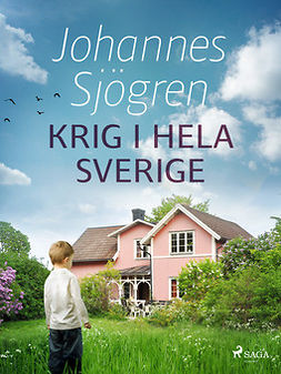 Sjögren, Johannes - Krig i hela Sverige, ebook