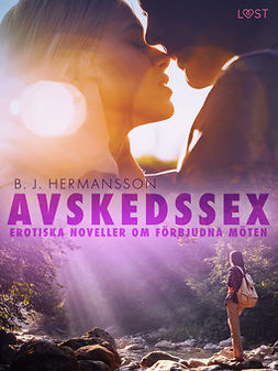Hermansson, B. J. - Avskedssex - erotiska noveller om förbjudna möten, ebook