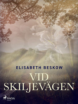 Beskow, Elisabeth - Vid skiljevägen, ebook