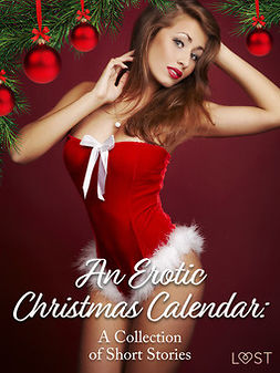 authors, LUST - An Erotic Christmas Calendar: A Collection of Short Stories, ebook
