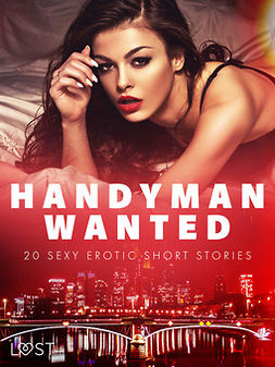 Stigsdotter, Saga - Handyman Wanted - 20 Sexy Erotic Short Stories, e-kirja
