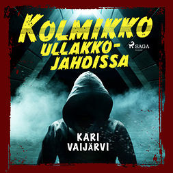 Vaijärvi, Kari - Kolmikko ullakkojahdissa, audiobook