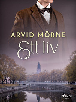 Mörne, Arvid - Ett liv, ebook