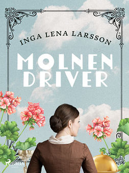Larsson, Inga Lena - Molnen driver, ebook