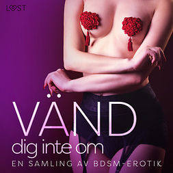 authors, LUST - Vänd dig inte om: En samling av BDSM-erotik, audiobook