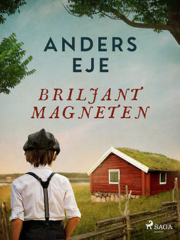 Eje, Anders - Briljantmagneten, ebook