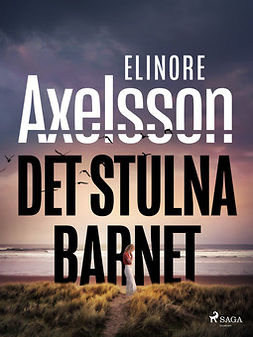 Axelsson, Elinore - Det stulna barnet, ebook