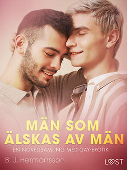 Hermansson, B. J. - Män som älskas av män - en novellsamling med gay-erotik, ebook