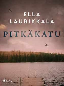 Laurikkala, Ella - Pitkäkatu, e-kirja
