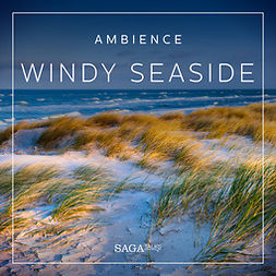 Broe, Rasmus - Ambience - Windy seaside, äänikirja