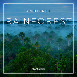 Broe, Rasmus - Ambience - Rainforest, äänikirja