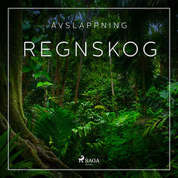 Broe, Rasmus - Avslappning - Regnskog, audiobook