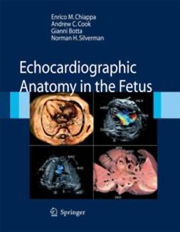Chiappa, Enrico M. - Echocardiographic Anatomy in the Fetus, ebook