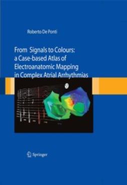 Ponti, Roberto - From Signals to Colours, e-bok