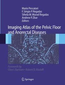 Pescatori, Mario - Imaging Atlas of the Pelvic Floor and Anorectal Diseases, e-kirja