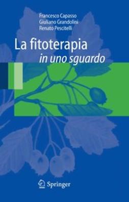 Capasso, Francesco - La fitoterapia in uno sguardo, ebook