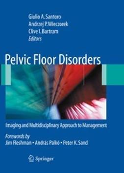 Santoro, Giulio Aniello - Pelvic Floor Disorders, e-bok