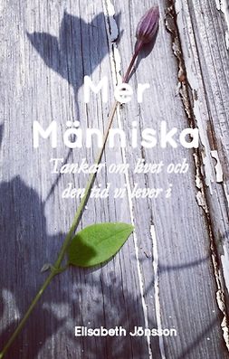 Jönsson, Elisabeth - Mer Människa: Tankar om livet och den tid vi lever i, ebook