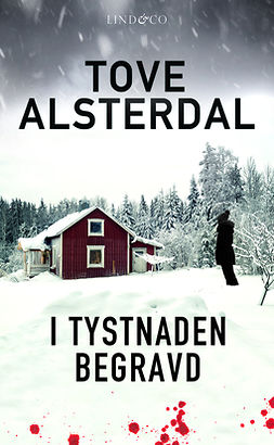 Alsterdal, Tove - I tystnaden begravd, ebook