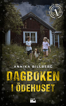 Billberg, Annika - Dagboken i ödehuset, e-bok