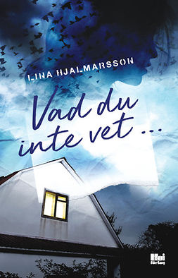 Hjalmarsson, Lina - Vad du inte vet, e-bok
