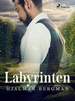 Bergman, Hjalmar - Labyrinten, e-bok