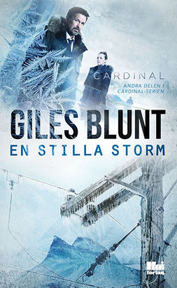 Blunt, Giles - En stilla storm, ebook