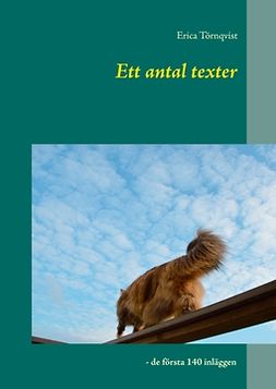 Törnqvist, Erica - Ett antal texter: - de första 140 inläggen, e-kirja