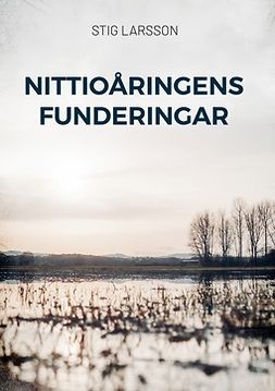 Larsson, Stig - Nittioåringens funderingar, ebook
