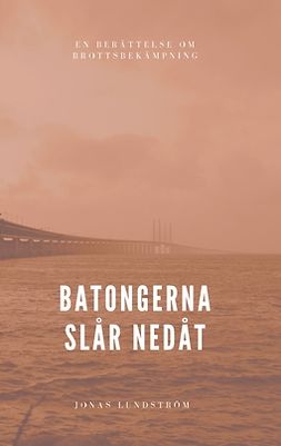 Lundström, Jonas - Batongerna slår nedåt: En berättelse om brottsbekämpning, ebook