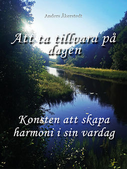 Åkerstedt, Anders - Att ta tillvara på dagen: Konsten att skapa harmoni i sin vardag, e-kirja
