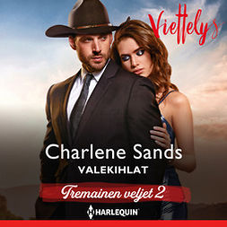 Sands, Charlene - Valekihlat, audiobook