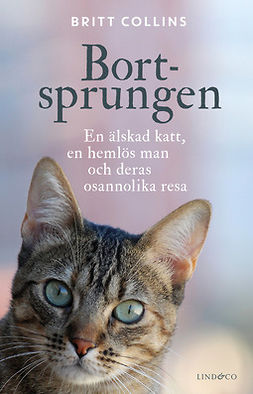 Collins, Britt - Bortsprungen: En älskad katt, en hemlös man och deras osannolika resa, ebook