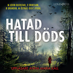 Eriksson, Erik - Hatad till döds, audiobook