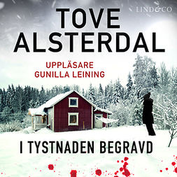 Alsterdal, Tove - I tystnaden begravd, audiobook