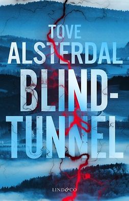 Alsterdal, Tove - Blindtunnel, ebook