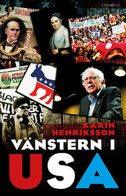 Henriksson, Karin - Vänstern i USA, e-kirja
